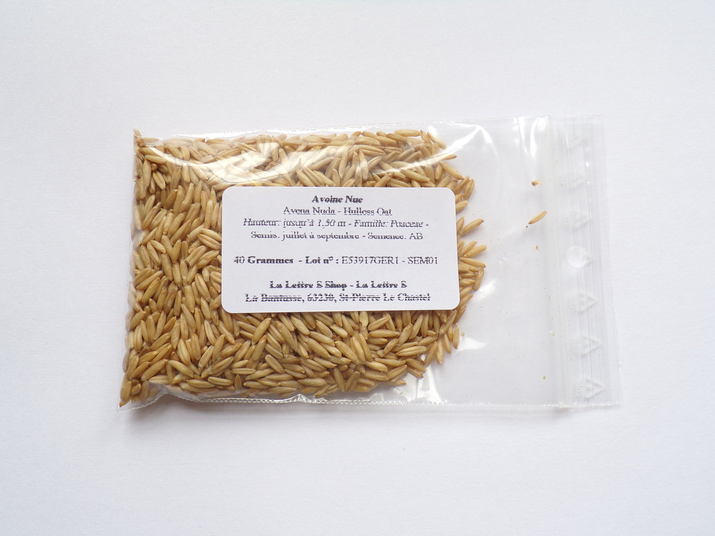 Avoine Nue - Avena Nuda (Engrais Vert) SEM01