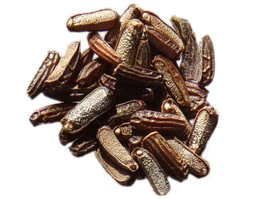 Verveine Officinale - Verbena Officinalis - SEM05