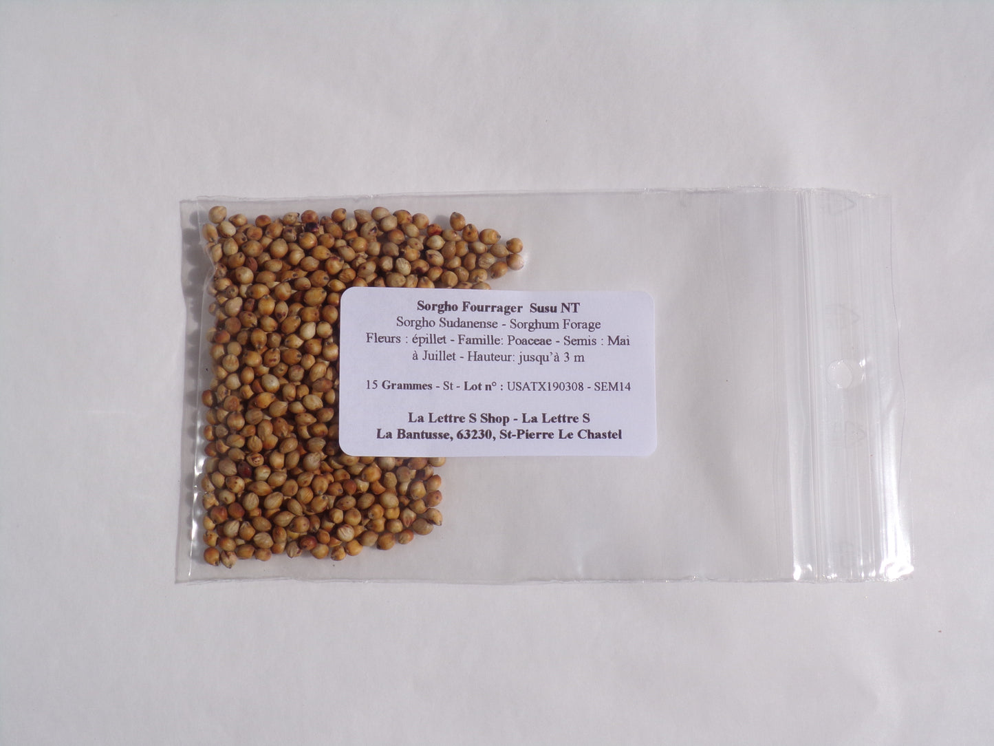 Sorgho Fourrager - Sorgho Sudanense (Engrais Vert) SEM14