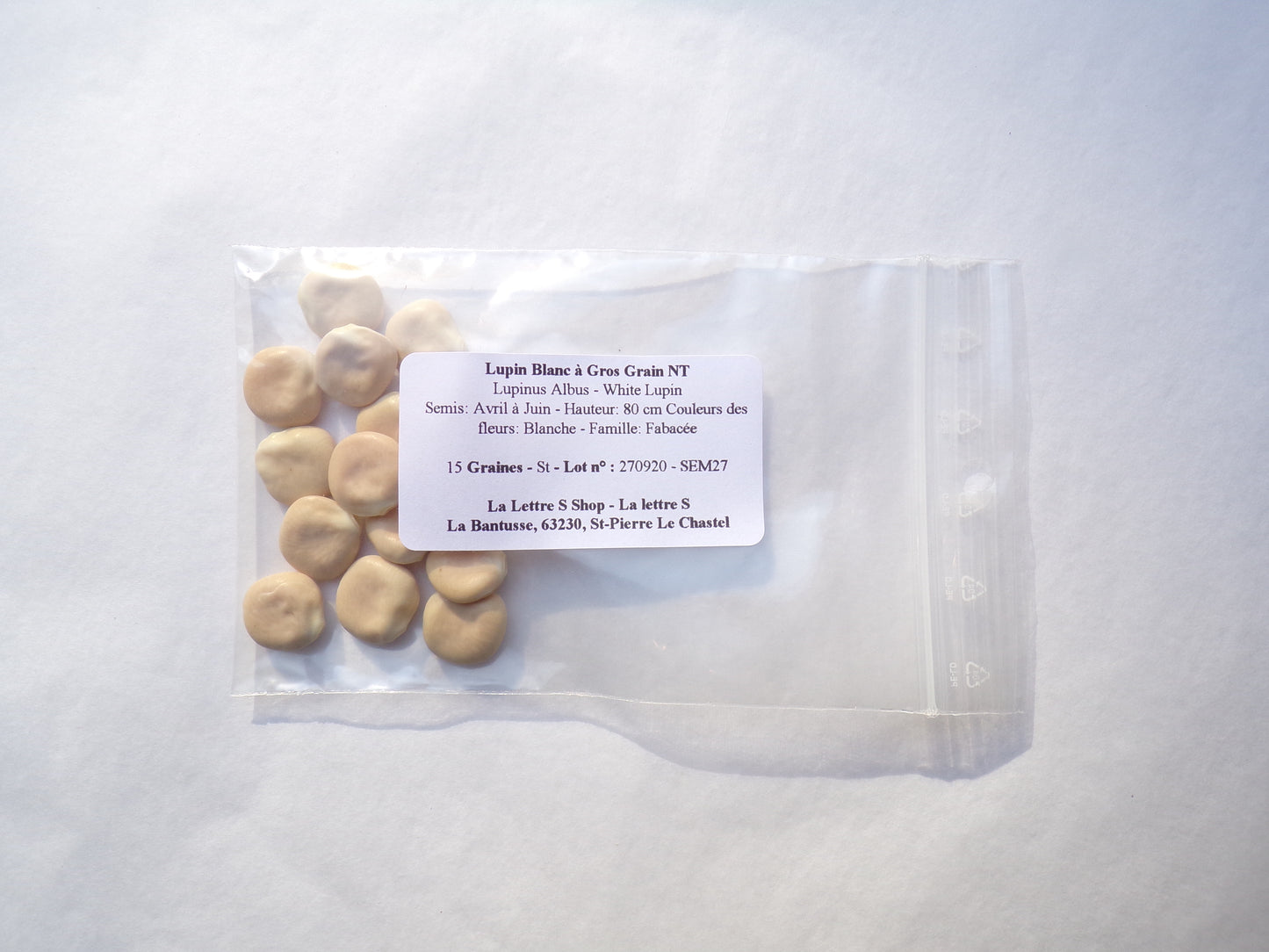 Lupin Blanc à Gros Grain NT - Lupinus Albus - SEM27