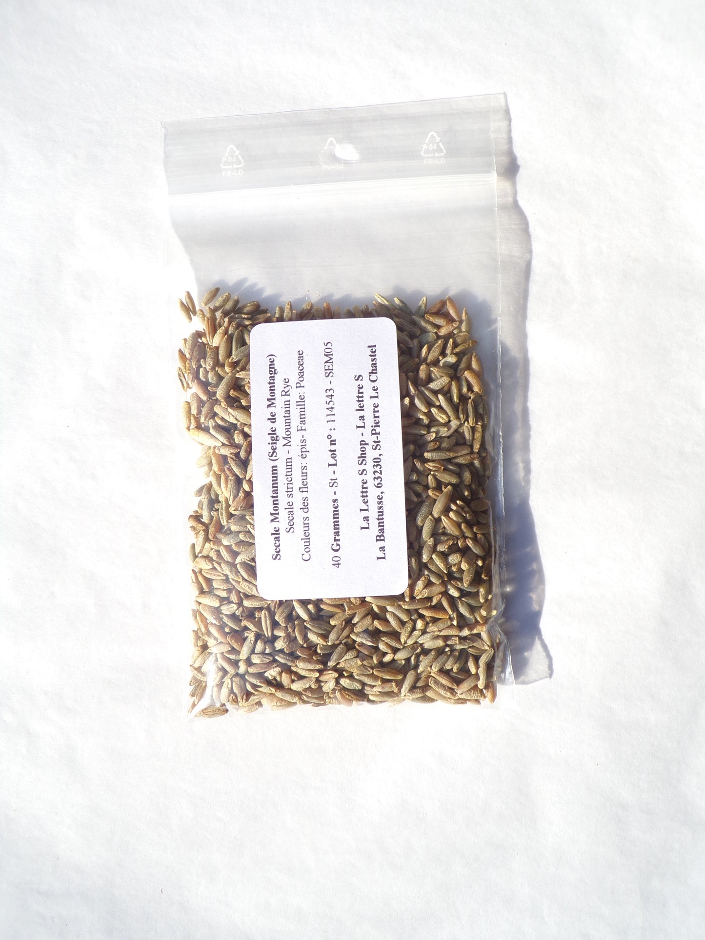 Secale Montanum (Seigle de Montagne) - Secale Strictum (Engrais Vert) SEM05