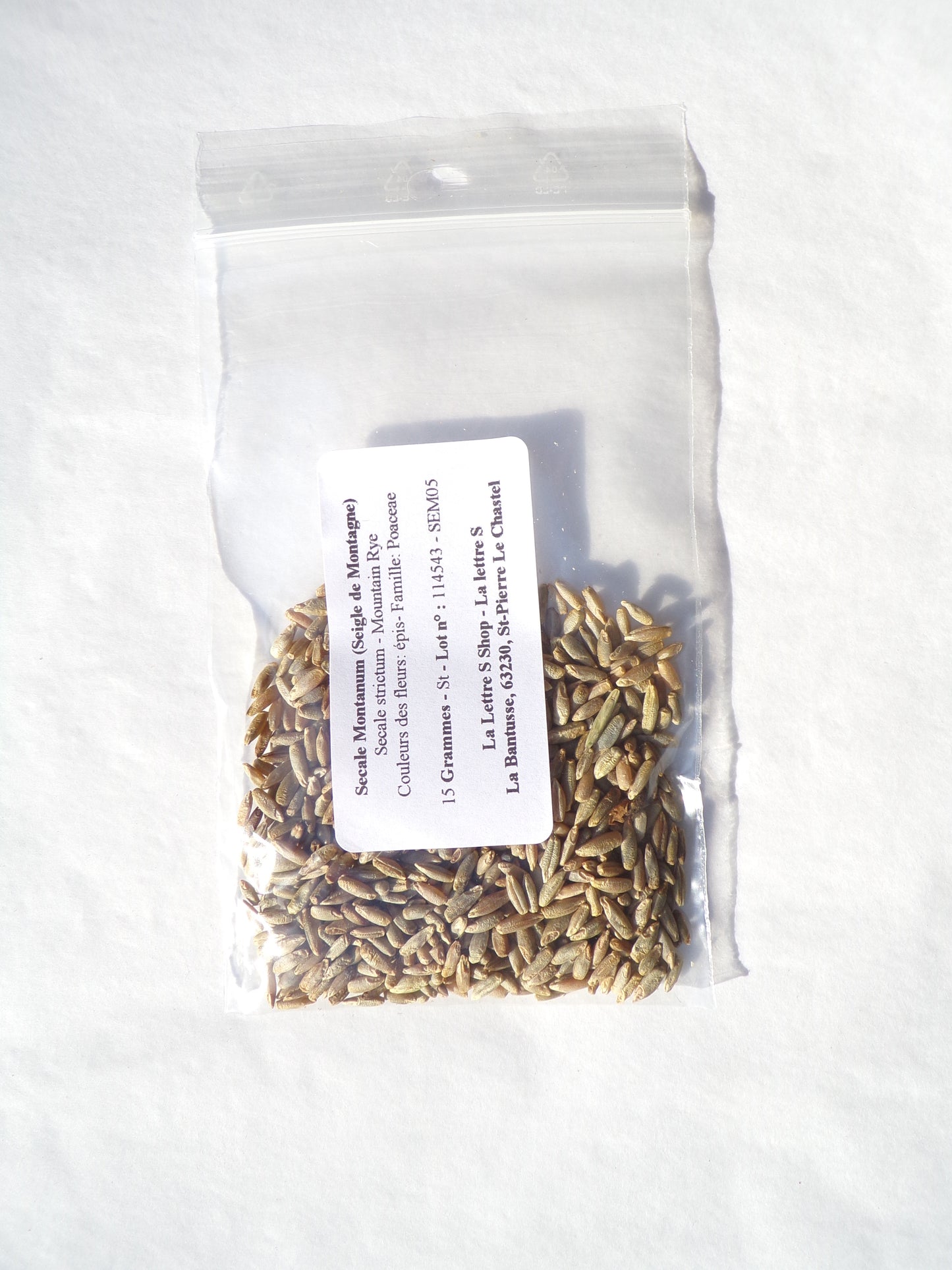 Secale Montanum (Seigle de Montagne) - Secale Strictum (Engrais Vert) SEM05