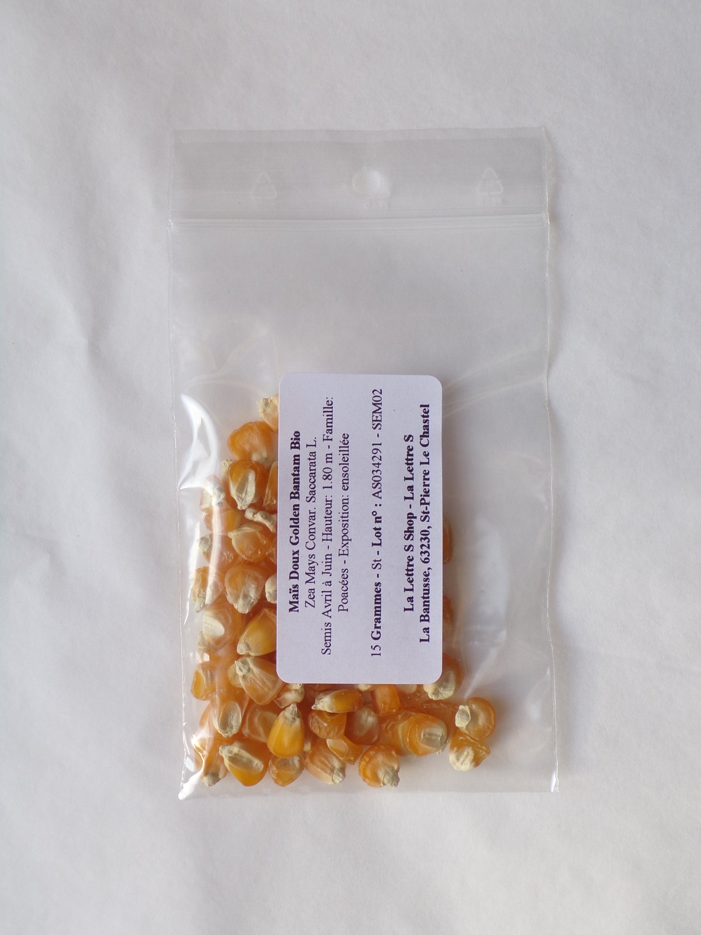 Maïs Doux - Zea Mays Convar. Saccarata L. - SEM02