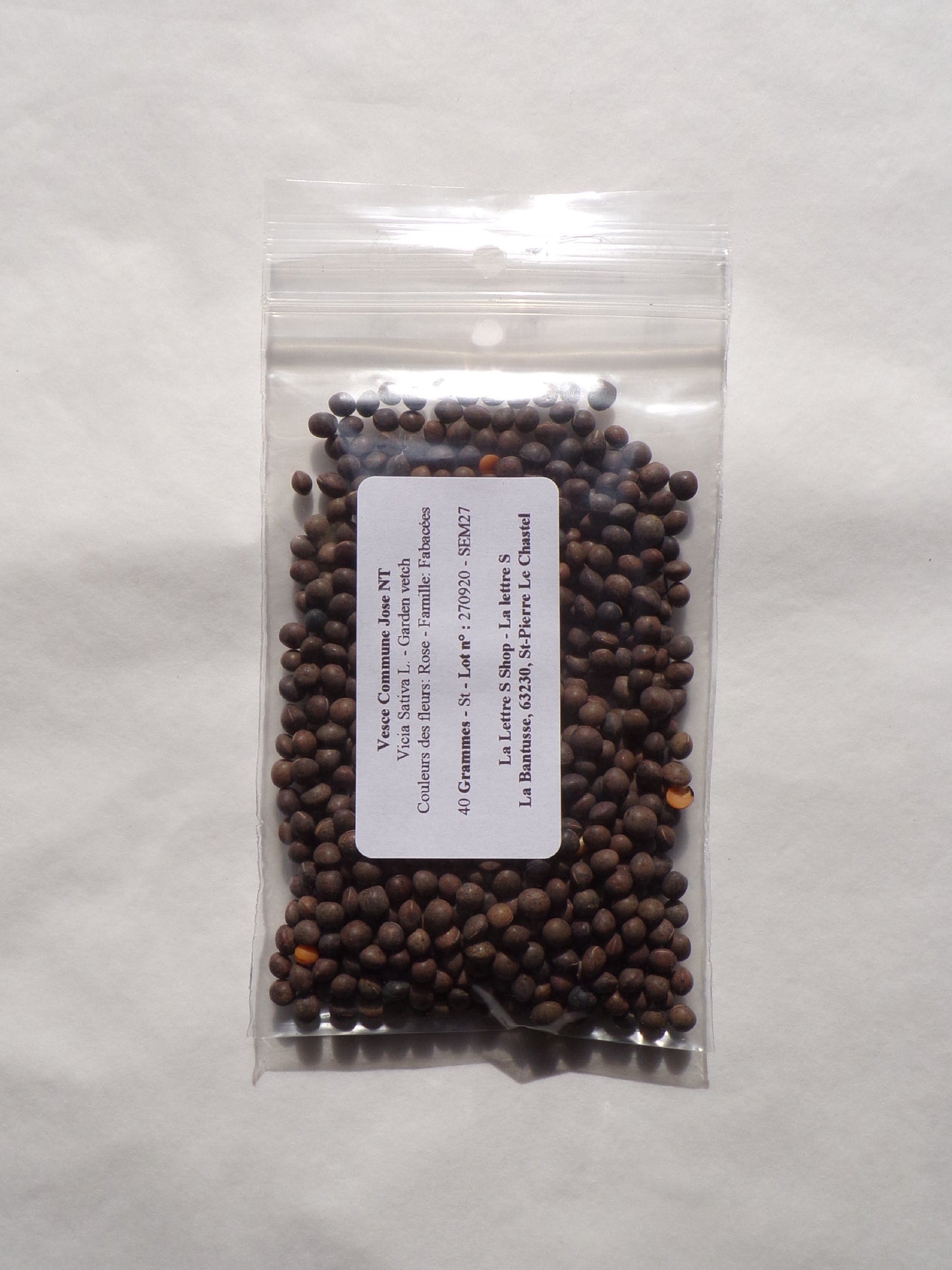 Vesce Commune - Vicia Sativa L. (Engrais Vert) SEM27