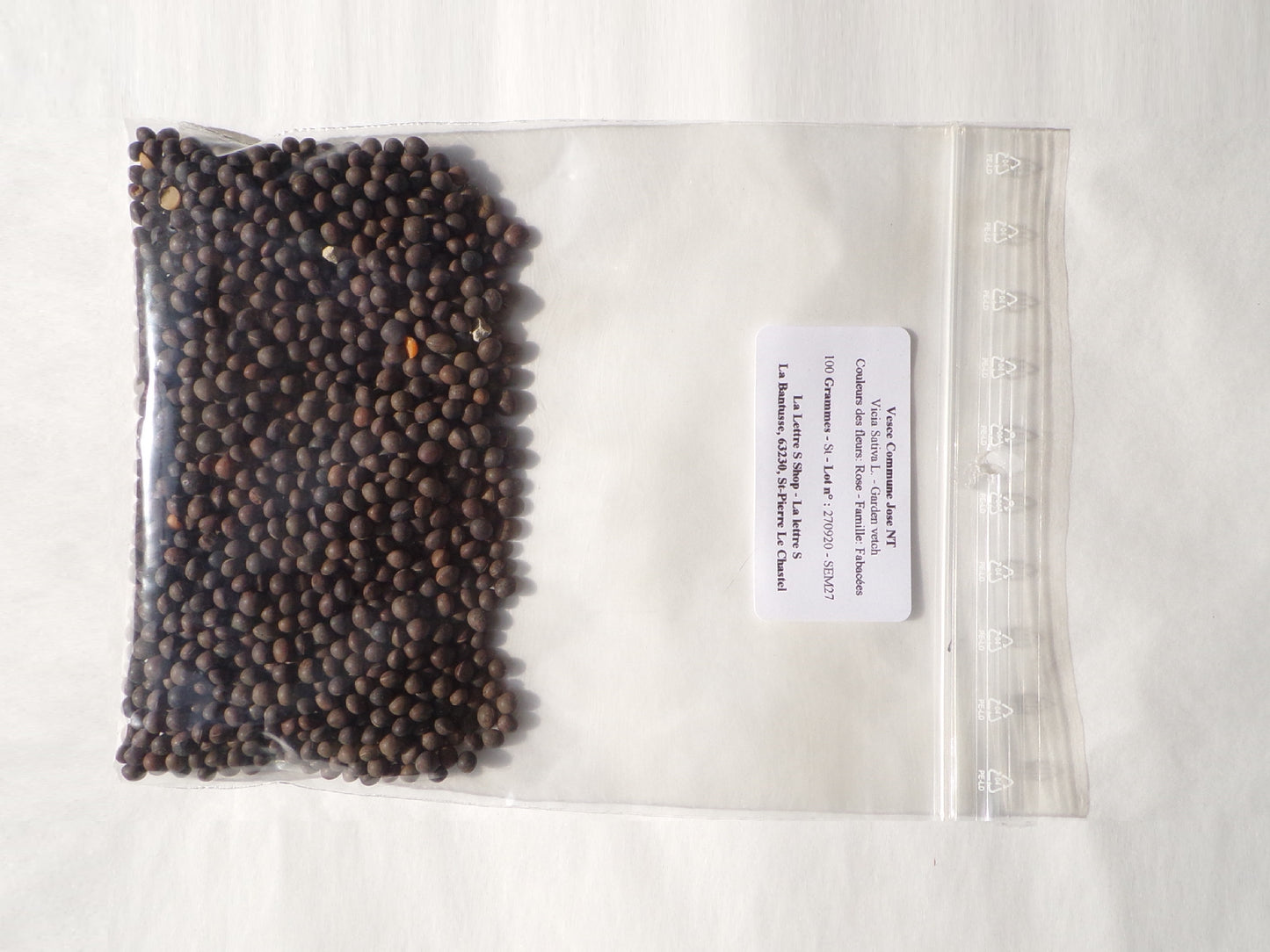 Vesce Commune - Vicia Sativa L. (Engrais Vert) SEM27