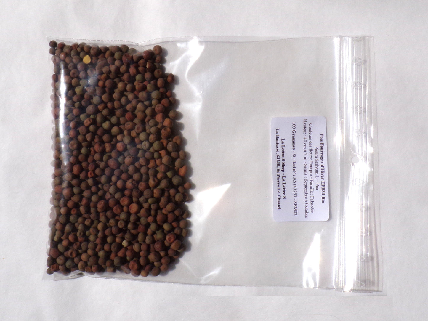 Pois Fourrager d'Hiver - Pisum Sativum L.