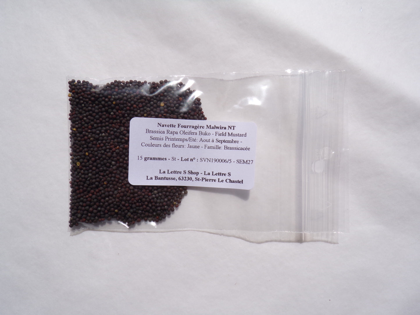 Navette Fourragère - Brassica Rapa Oleifera Buko (Engrais Vert) SEM27