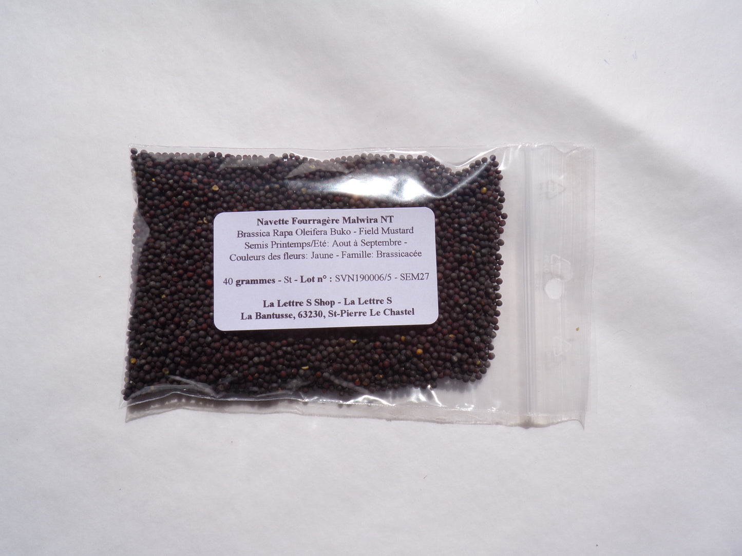 Navette Fourragère - Brassica Rapa Oleifera Buko (Engrais Vert) SEM27