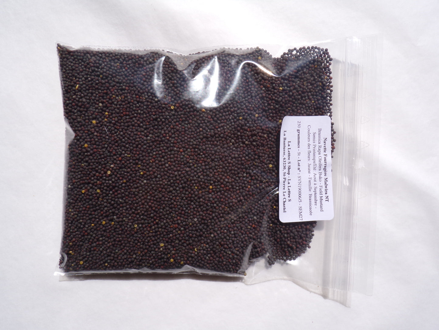 Navette Fourragère - Brassica Rapa Oleifera Buko (Engrais Vert) SEM27