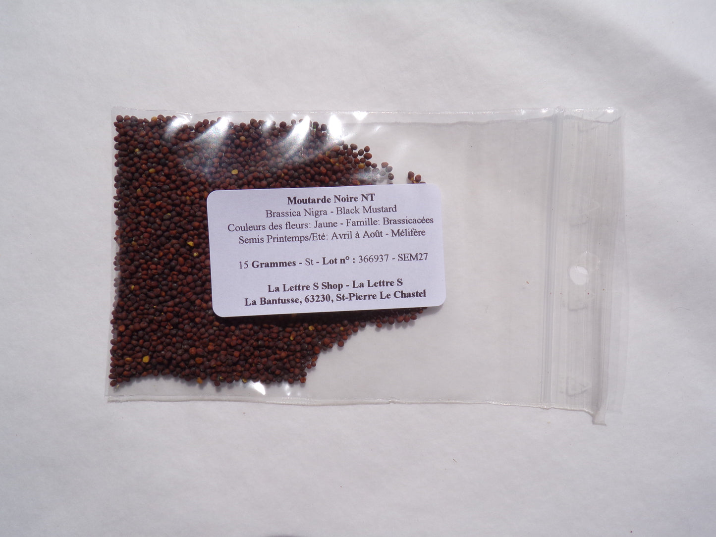 Moutarde Noire NT - Brassica Nigra (Engrais Vert) SEM27