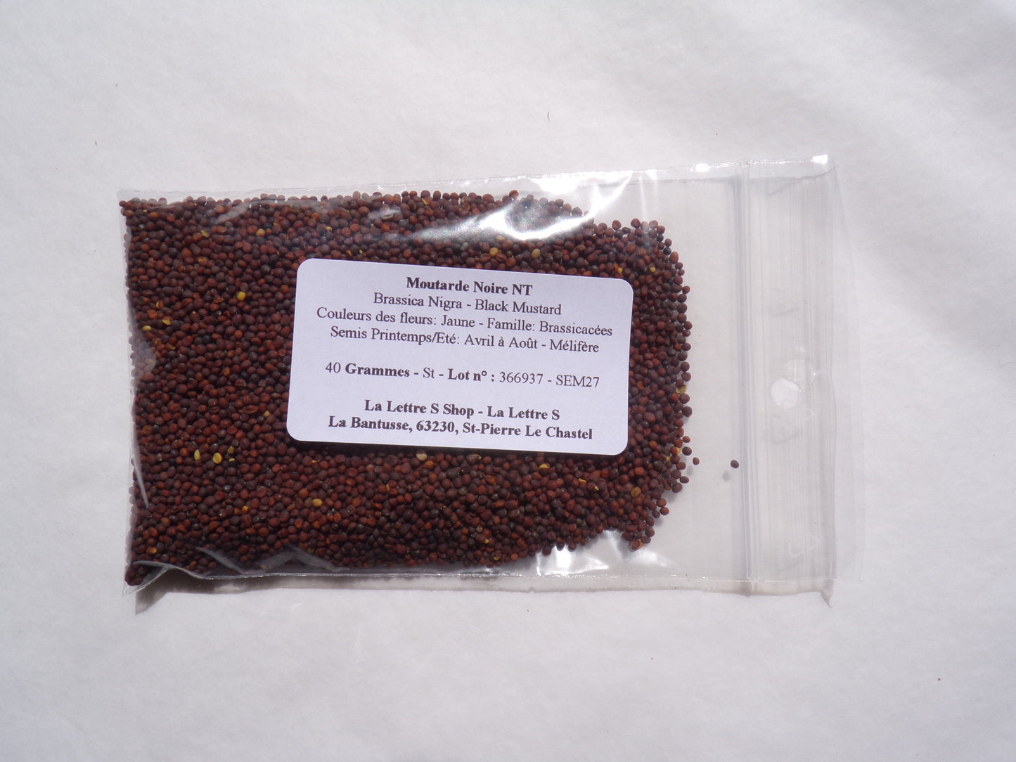 Moutarde Noire NT - Brassica Nigra (Engrais Vert) SEM27