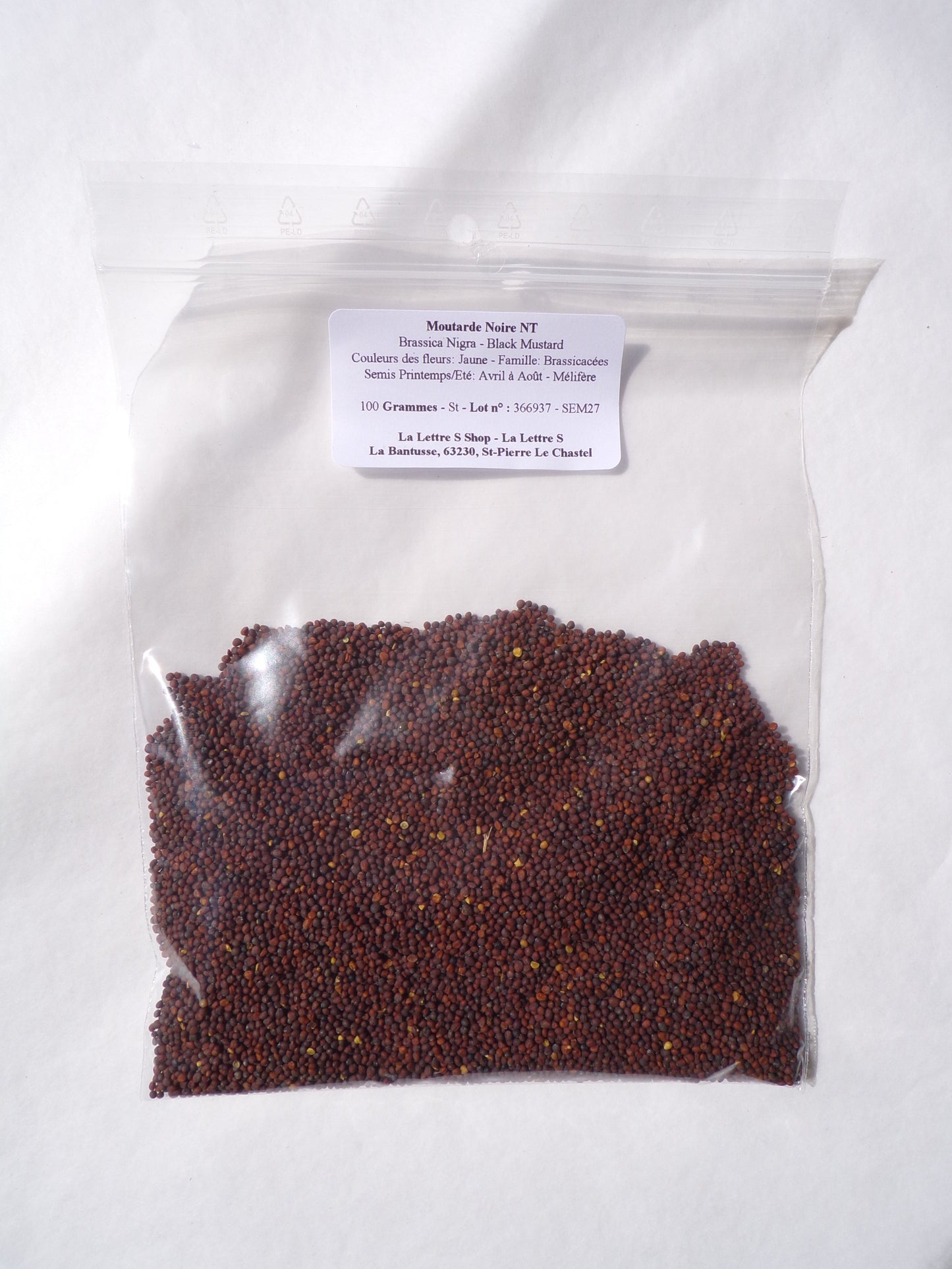 Moutarde Noire NT - Brassica Nigra (Engrais Vert) SEM27
