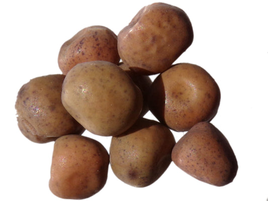 Pois Fourrager de Printemps - Pisum Sativum L. Partim (Engrais Vert) SEM02