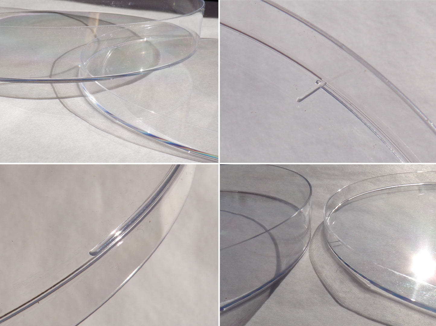 Boîte de Pétri Ronde 145mmx20mm - Polystyrène Cristal - SEM32