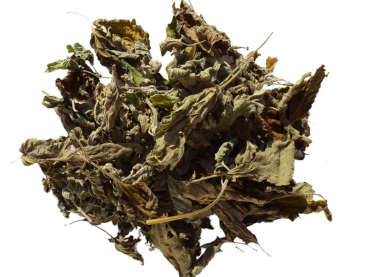 Cataire Feuilles Séchées (Herbe à Chat) SEM07