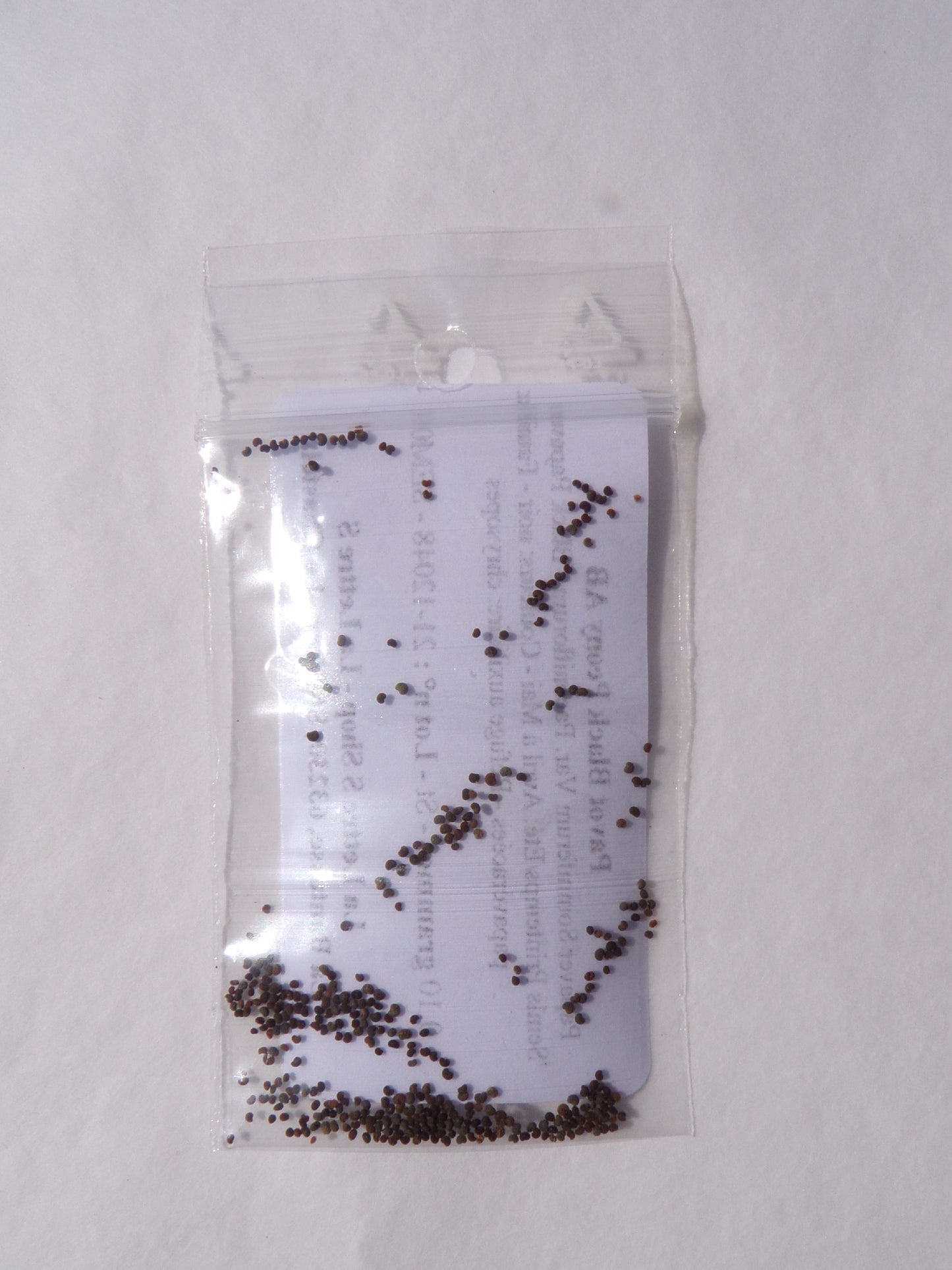 Pavot Black Peony AB - Papaver Somniferum Var. Paeoniflorum - SEM03