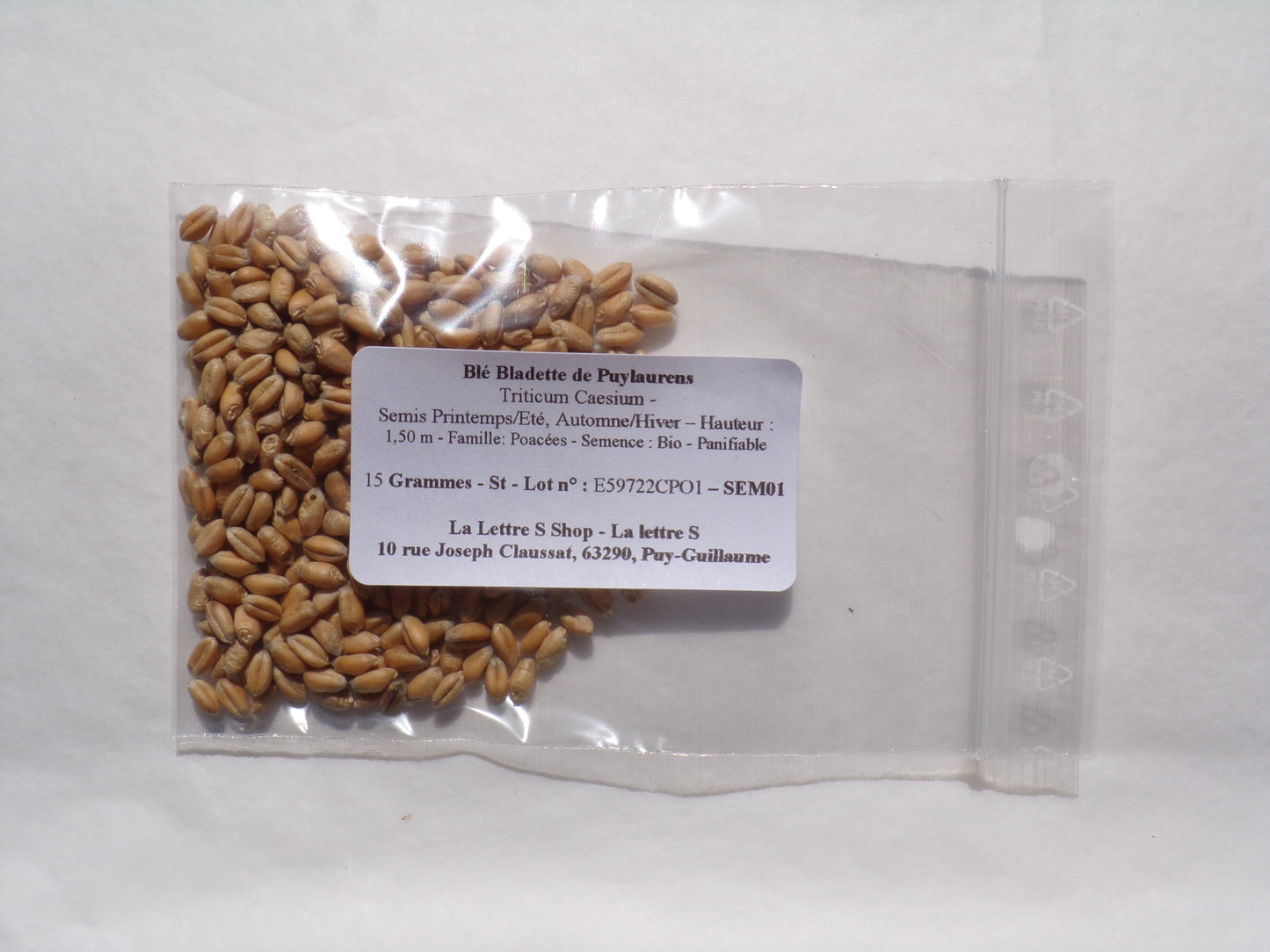 Blé Bladette de Puylaurens - Triticum Aesium (Engrais Vert) SEM01