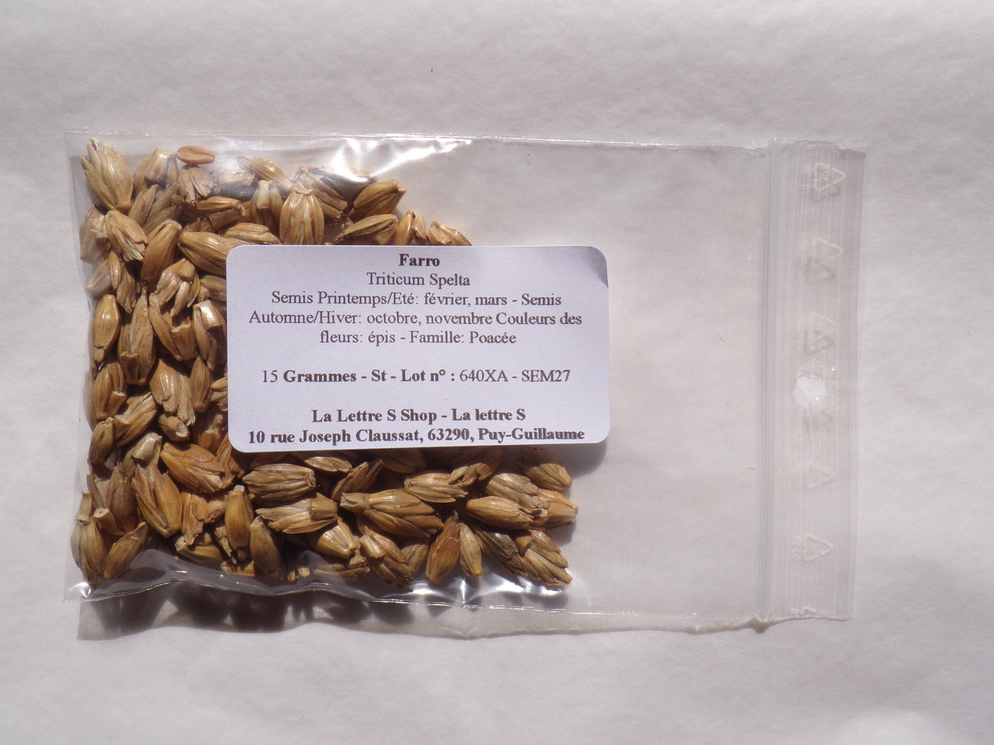 Farro - Triticum Spelta - SEM27