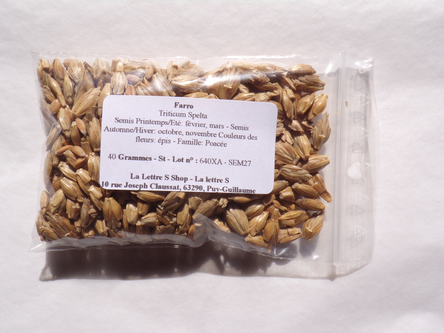 Farro - Triticum Spelta - SEM27