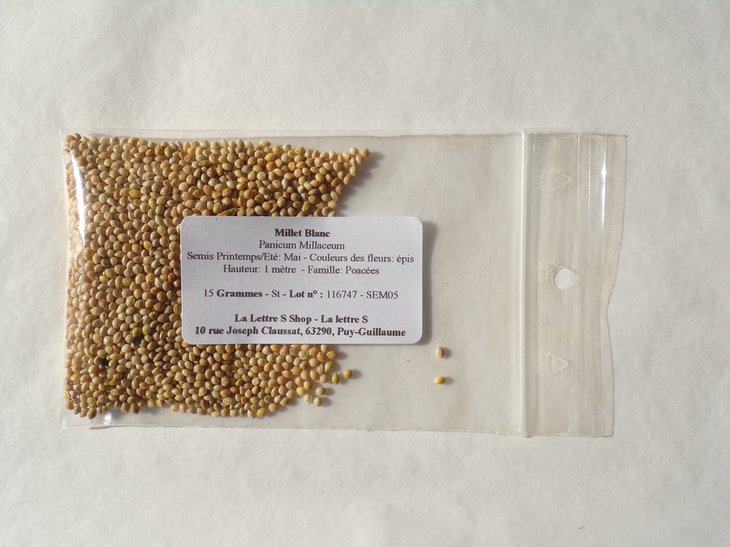 Millet Blanc - Panicum Millaceum - (Engrais Vert) SEM05