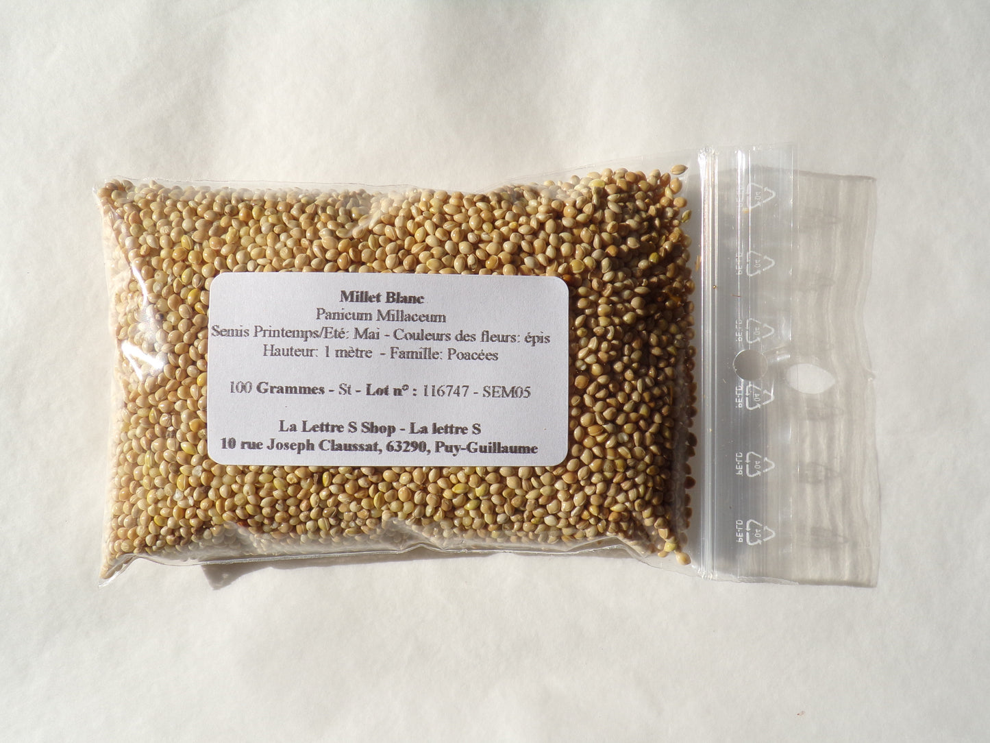 Millet Blanc - Panicum Millaceum - (Engrais Vert) SEM05