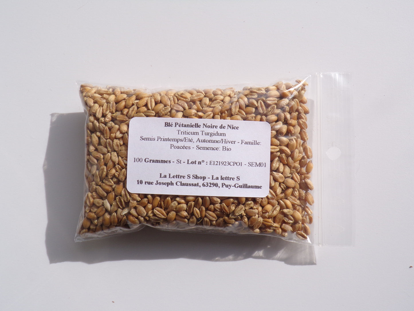 Blé Pétanielle Noire de Nice  - Triticum Turgidum (Engrais Vert) SEM01