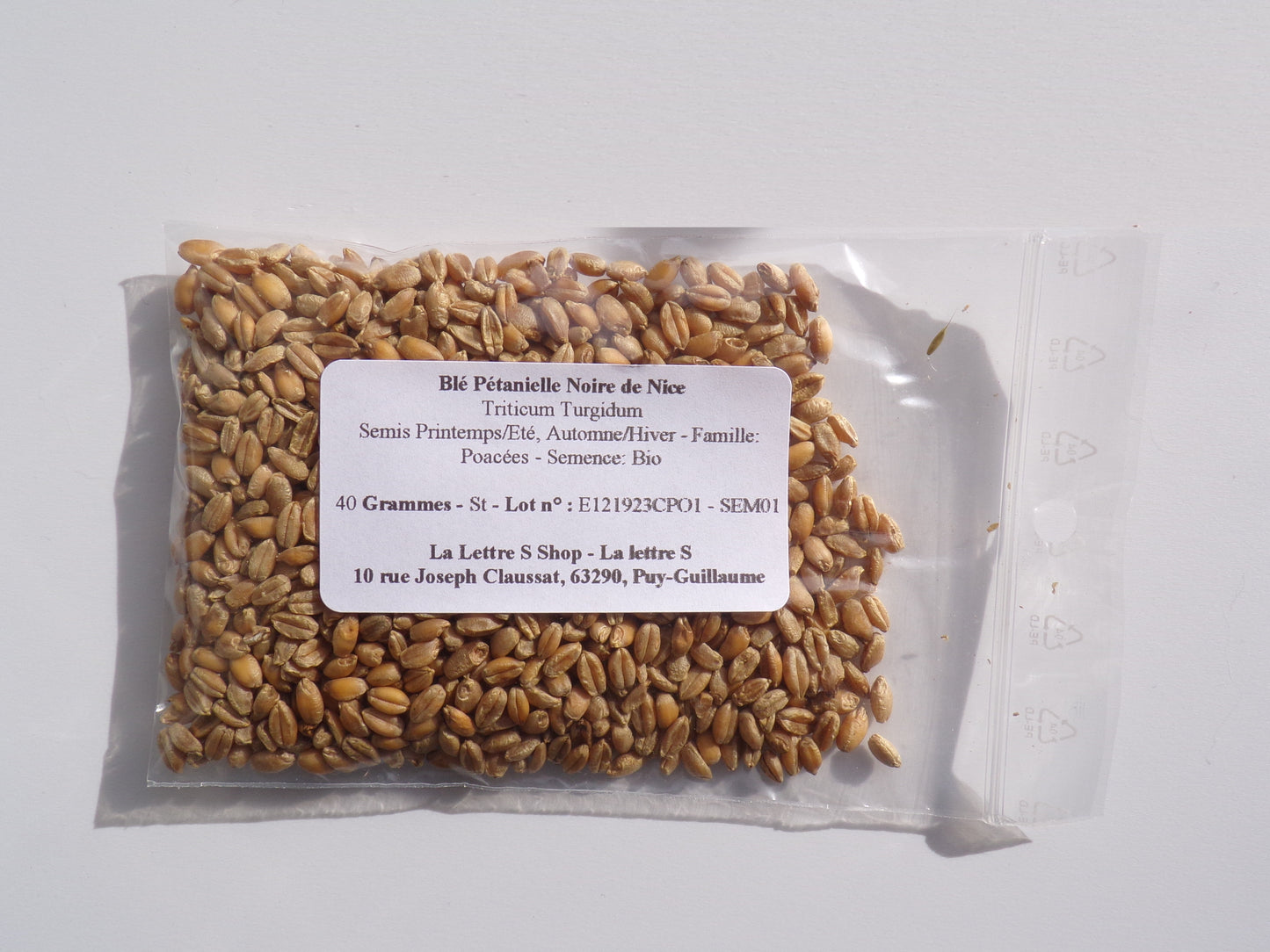 Blé Pétanielle Noire de Nice  - Triticum Turgidum (Engrais Vert) SEM01