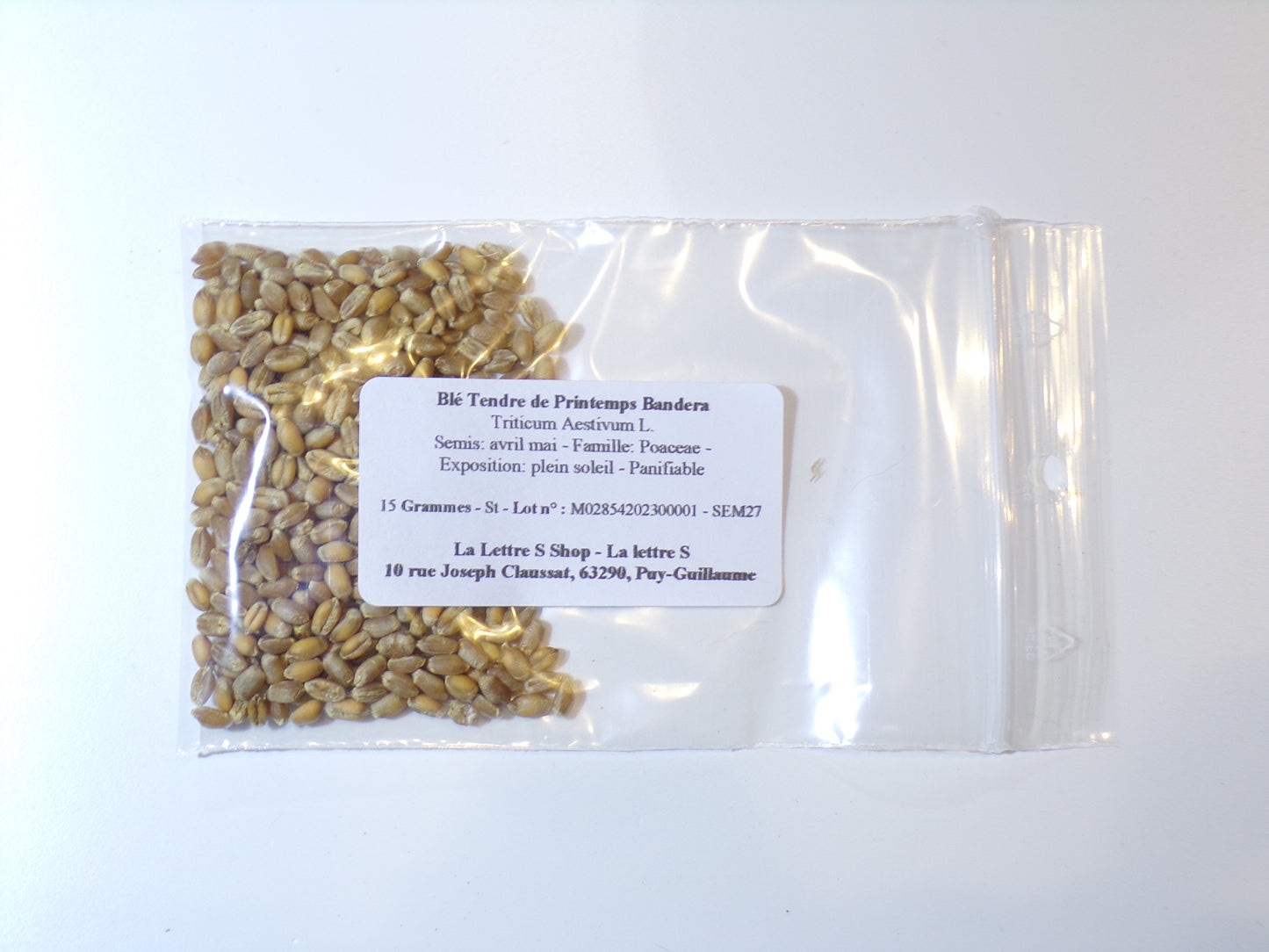 Blé Tendre de Printemps - Triticum Aestivum L. - SEM27