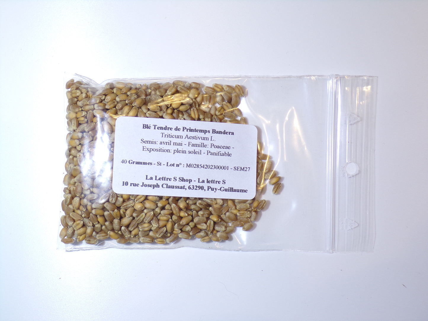 Blé Tendre de Printemps - Triticum Aestivum L. - SEM27