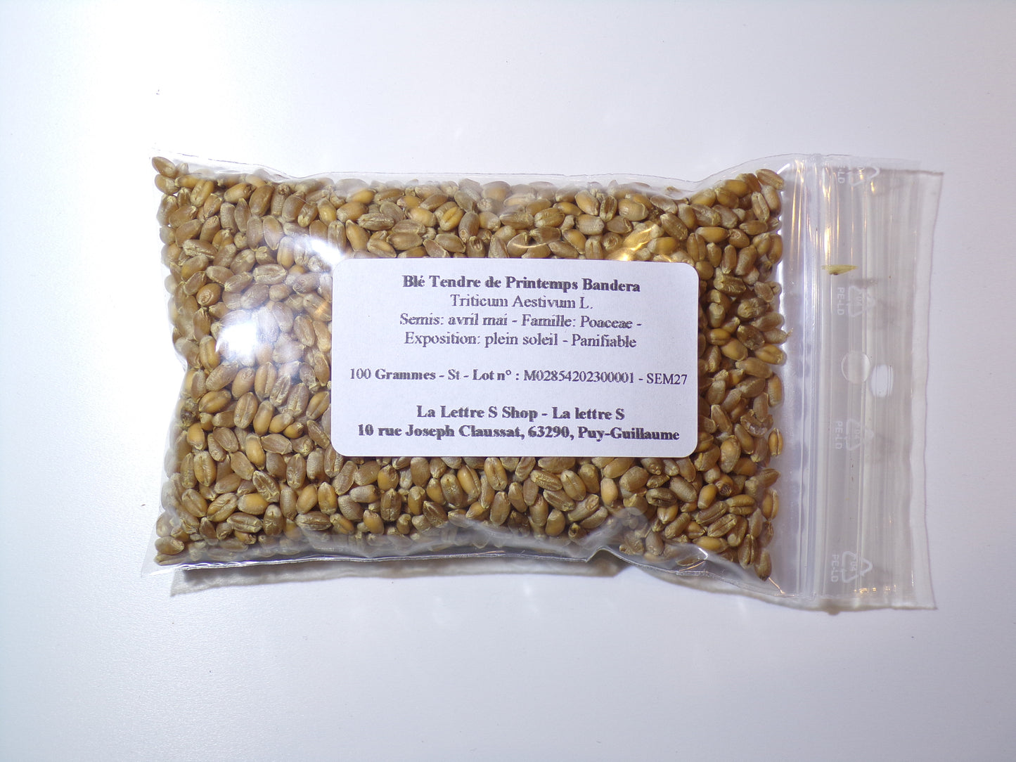 Blé Tendre de Printemps - Triticum Aestivum L. - SEM27