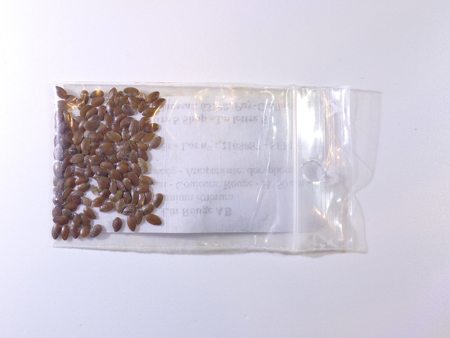 Lin - Linium Grandiflorum - SEM03