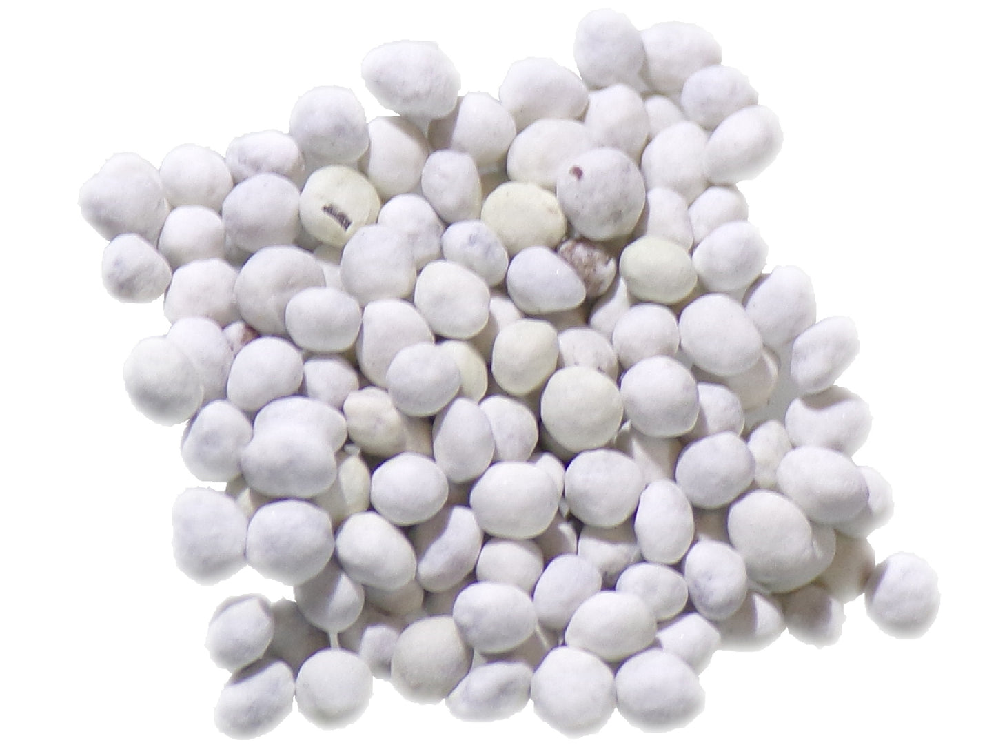 Lotier Corniculé - Lotus Corniculatus L. (Engrais Vert) SEM05