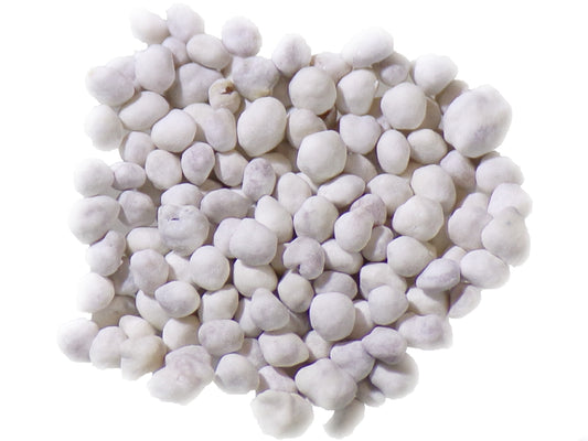 Trèfle Blanc - Trifolium Repens L (Engrais Vert) SEM05