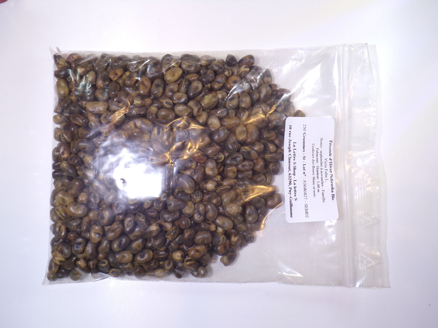 Féverole d‘Hiver Bio - Vicia Faba L. (Engrais Vert) SEM02