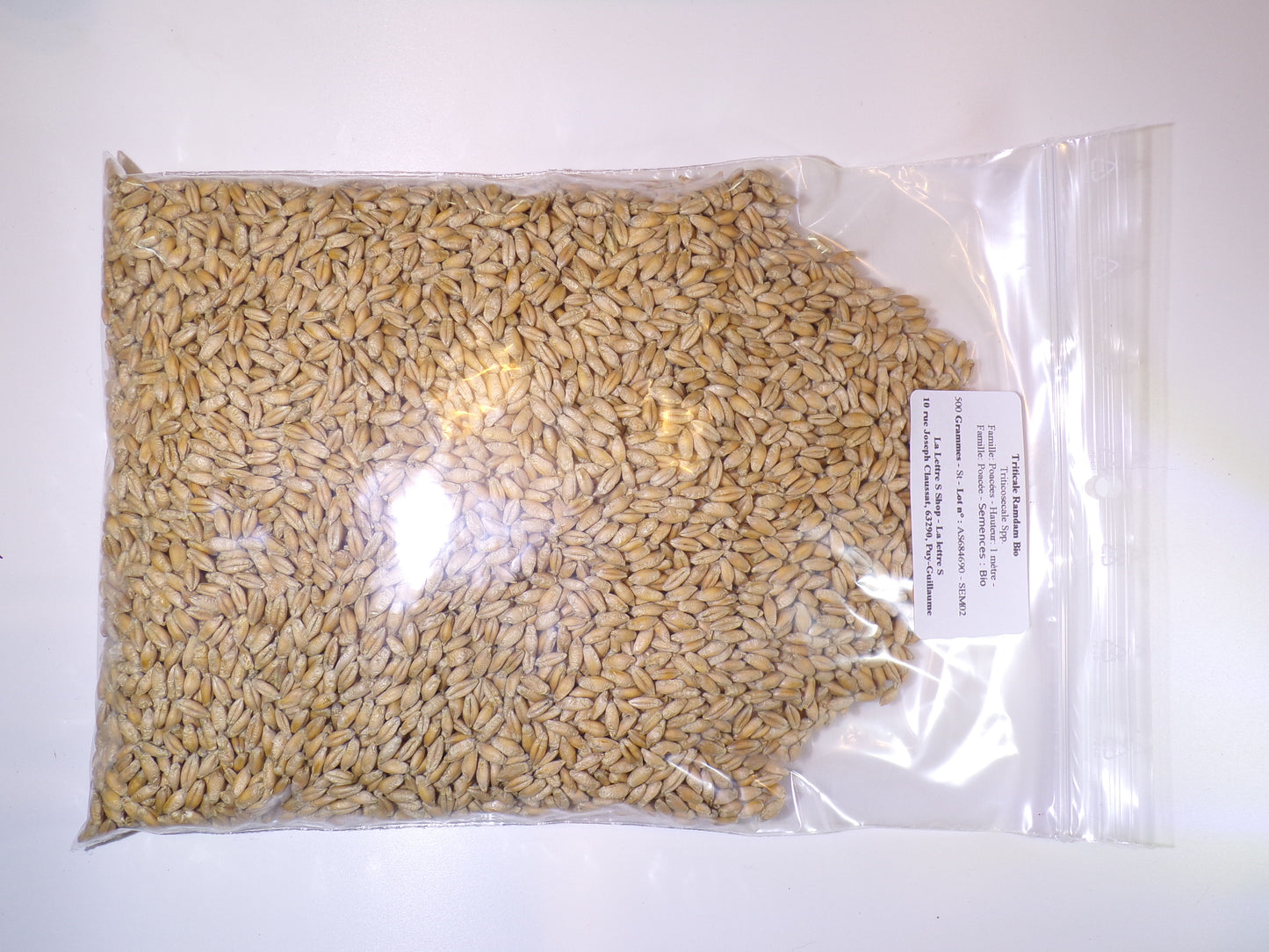 Triticale Bio - Triticosecale Spp. (Engrais Vert) SEM02