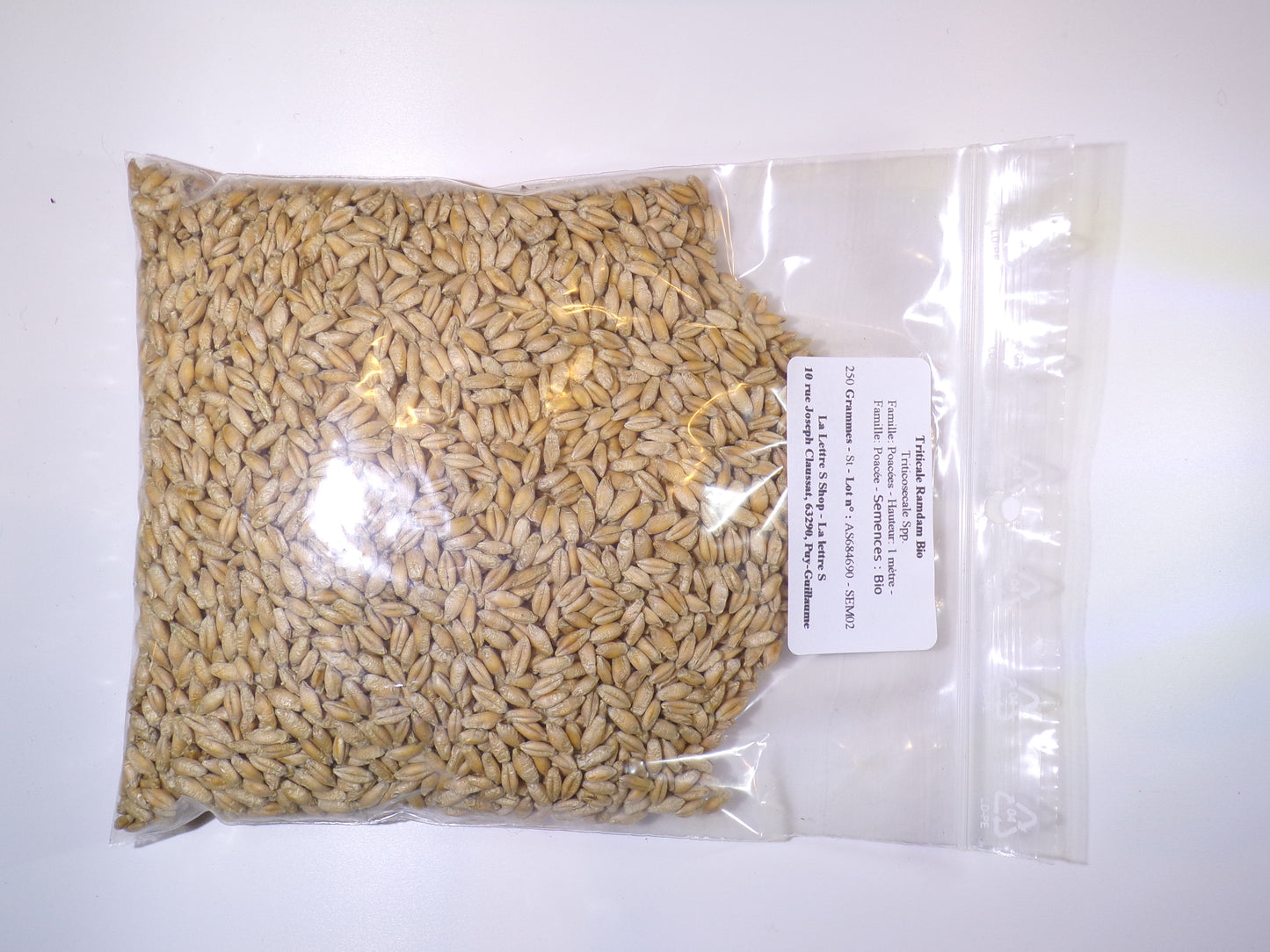 Triticale Bio - Triticosecale Spp. (Engrais Vert) SEM02