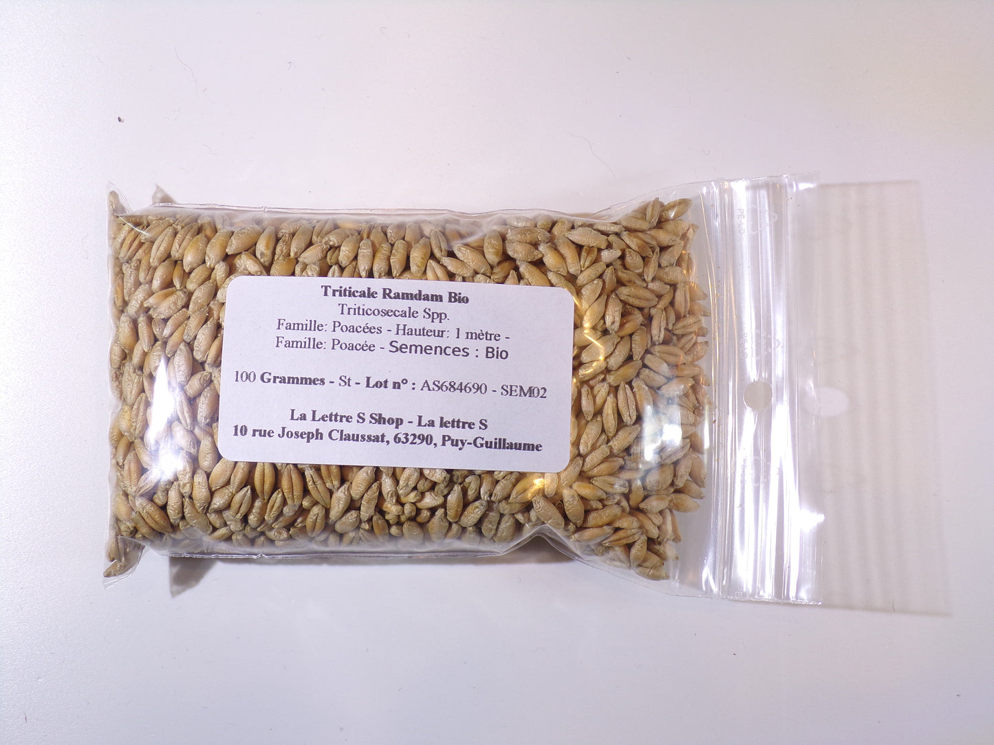 Triticale Bio - Triticosecale Spp. (Engrais Vert) SEM02