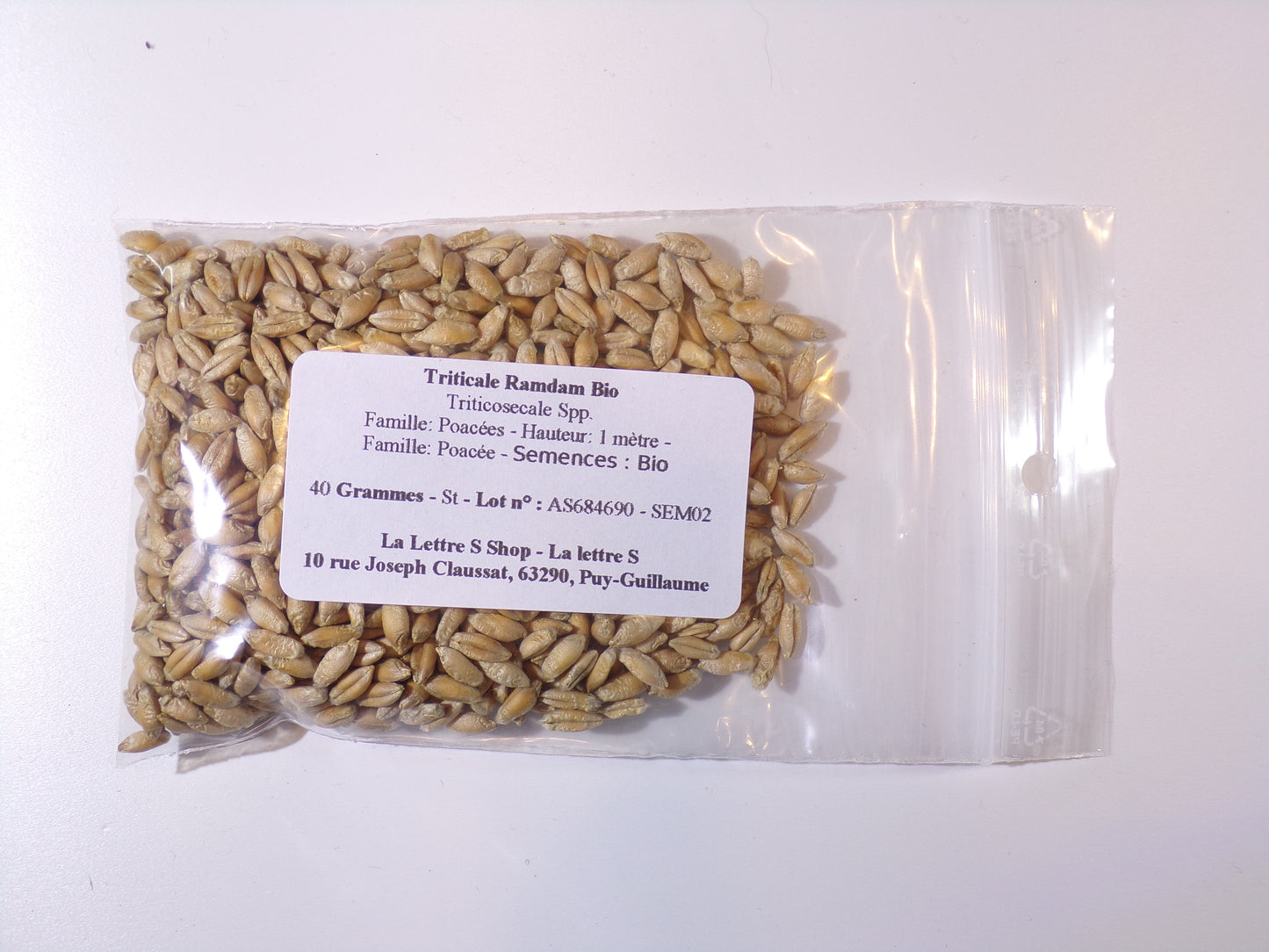 Triticale Bio - Triticosecale Spp. (Engrais Vert) SEM02