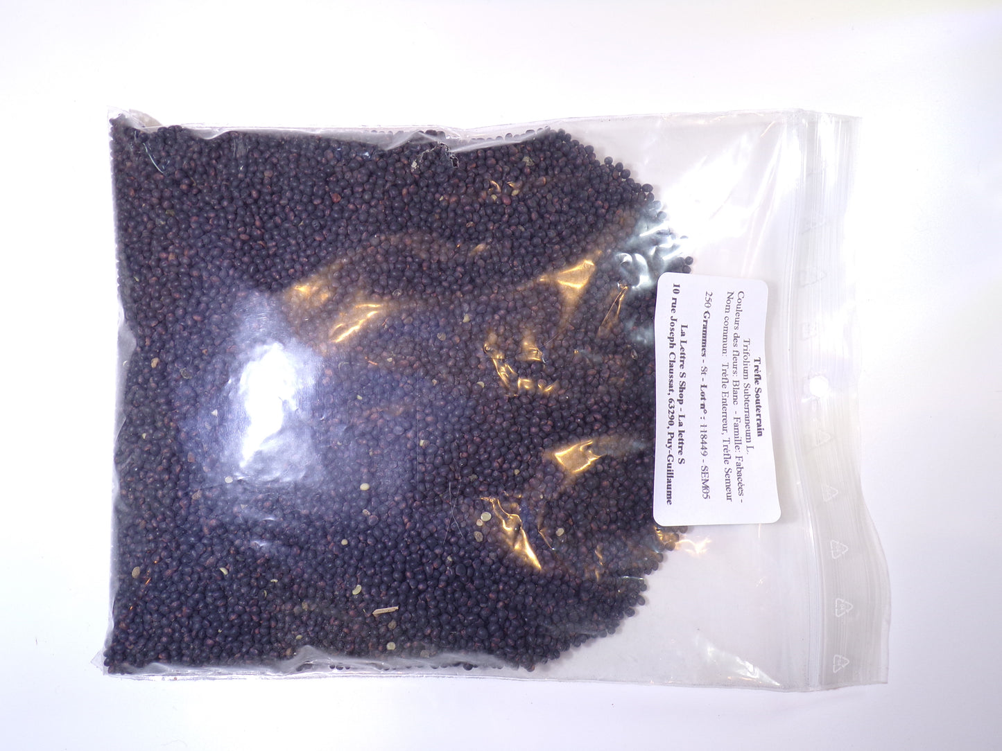 Trèfle Souterrain - Trifolium Subterraneum L. (Engrais Vert) SEM05