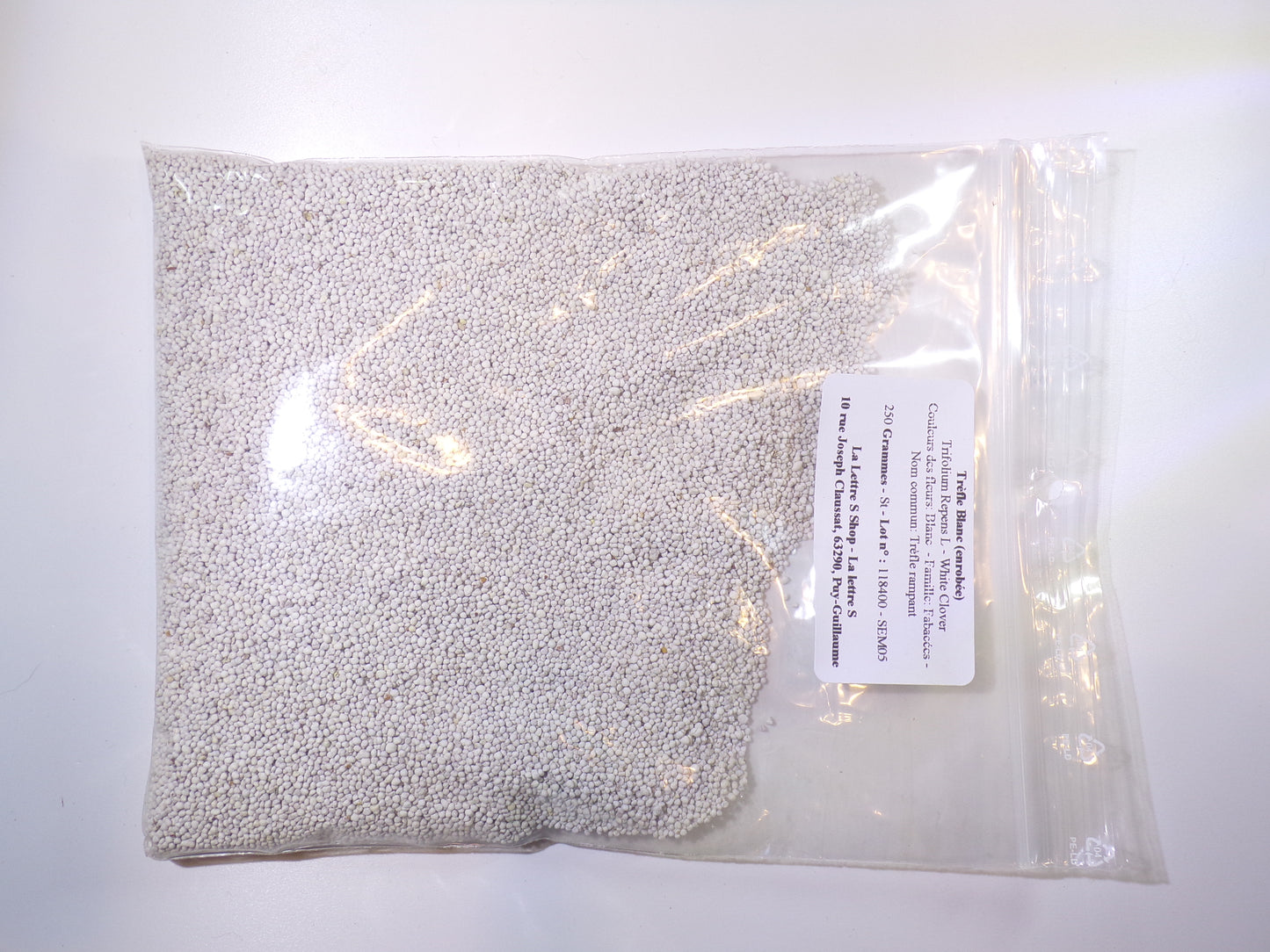 Trèfle Blanc - Trifolium Repens L (Engrais Vert) SEM05