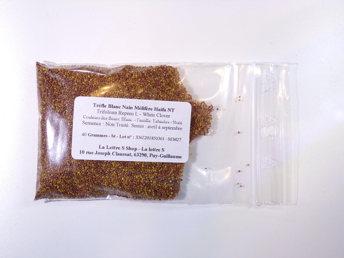 Trèfle Blanc Nain Mellifère - Trifolium Repens L (Engrais Vert) SEM27