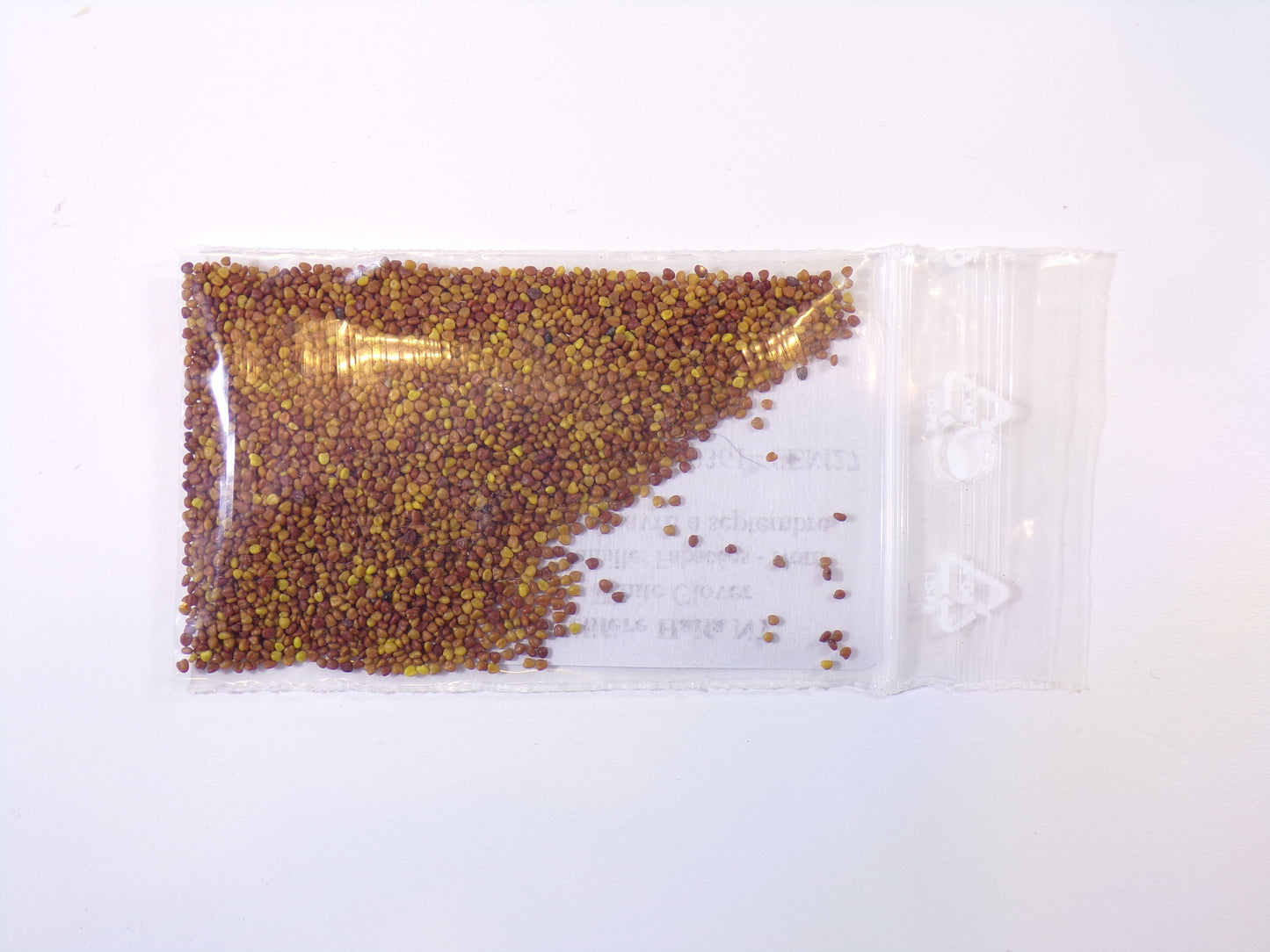 Trèfle Blanc Nain Mellifère - Trifolium Repens L (Engrais Vert) SEM27