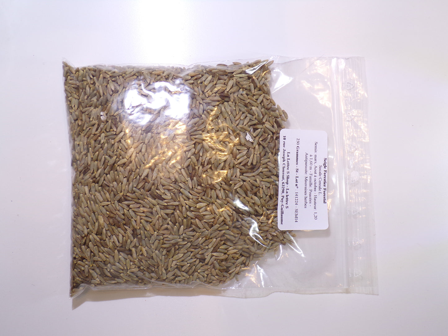 Seigle Forestier - Secale Cereale L. (Engrais Vert) SEM14