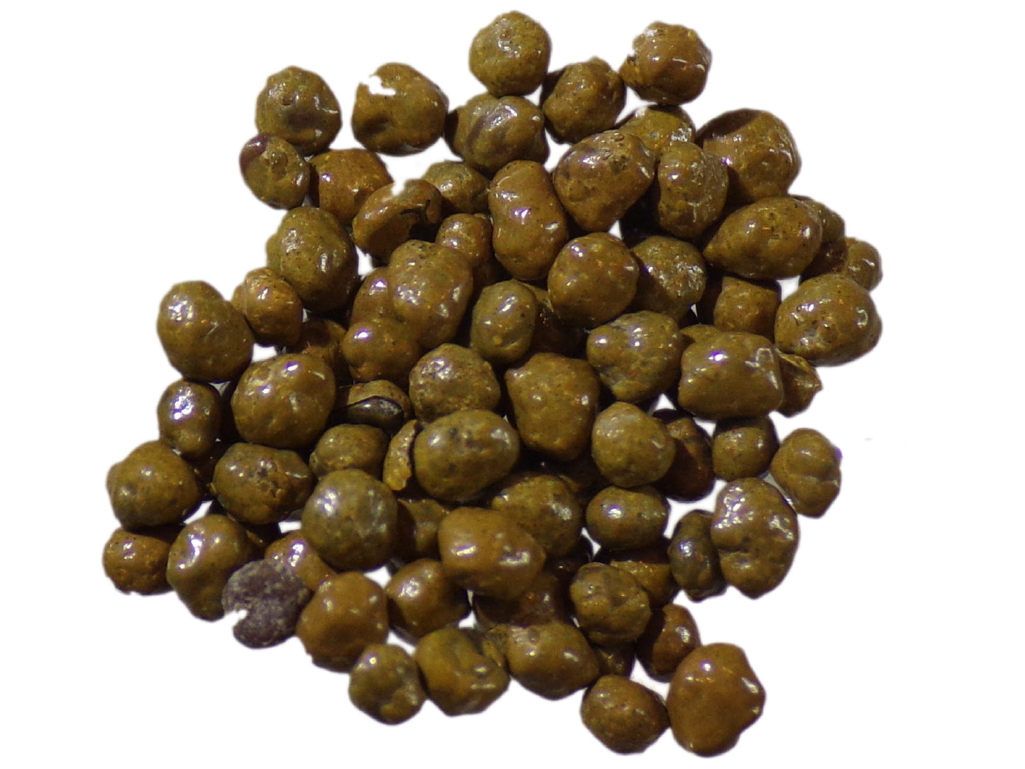 Lotier Corniculé - Lotus Corniculatus L. (Engrais Vert) SEM14