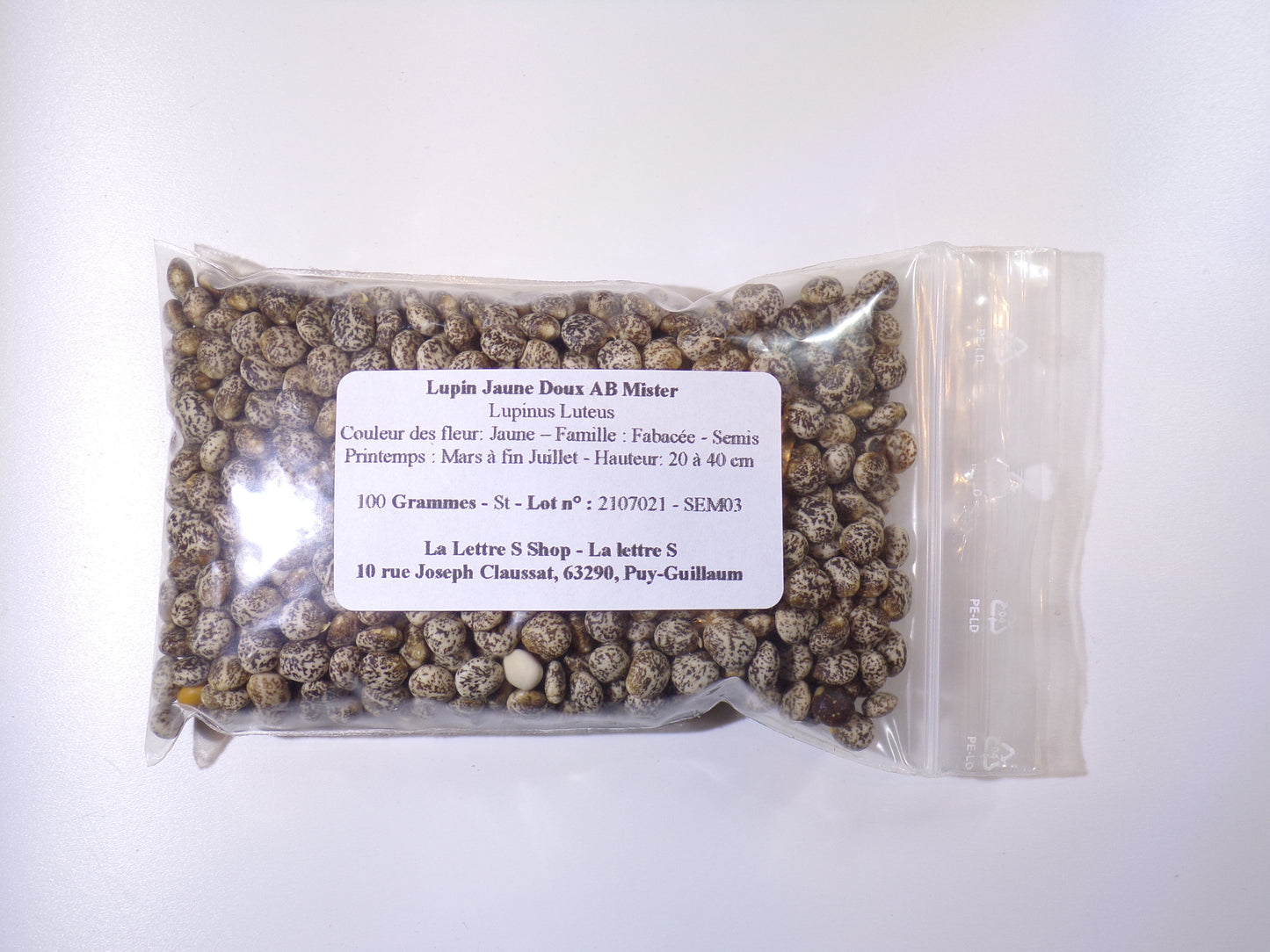 Lupin Jaune Doux - Lupinus Luteus (Engrais Vert) SEM03