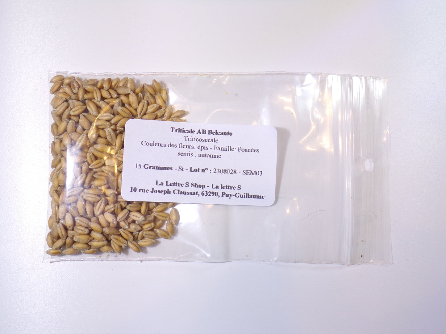 Triticale - Triticosecale (Engrais Vert) - SEM03