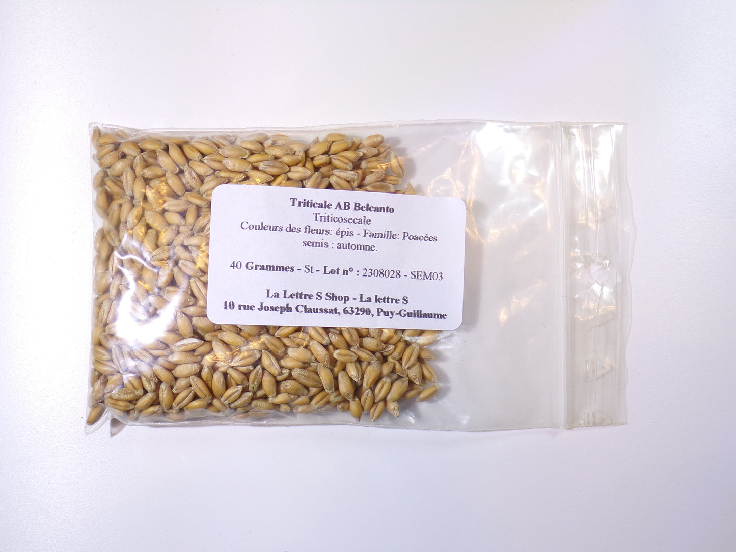 Triticale - Triticosecale (Engrais Vert) - SEM03