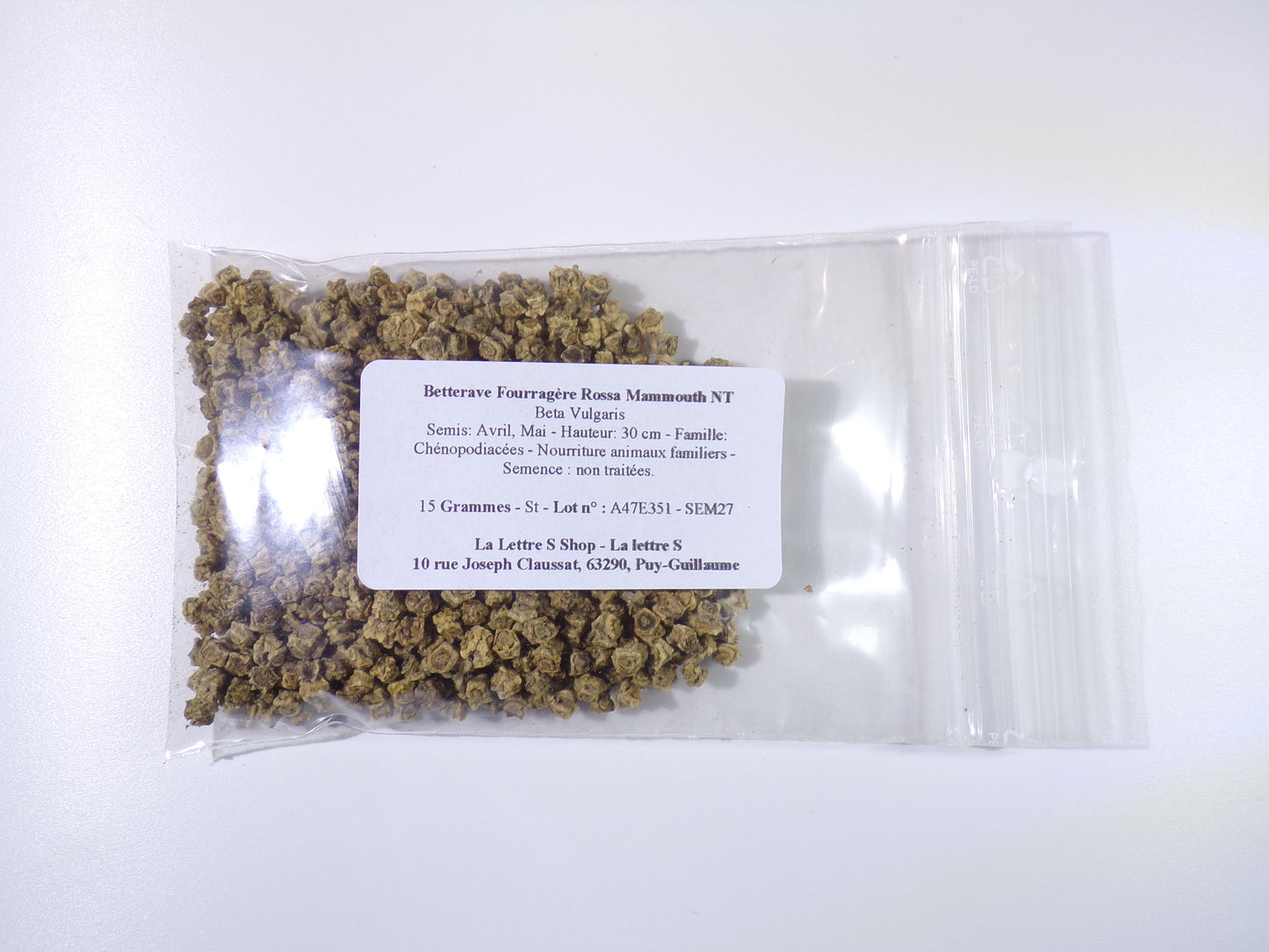 Betterave Fourragère Rossa Mammouth NT - Beta Vulgaris - SEM27