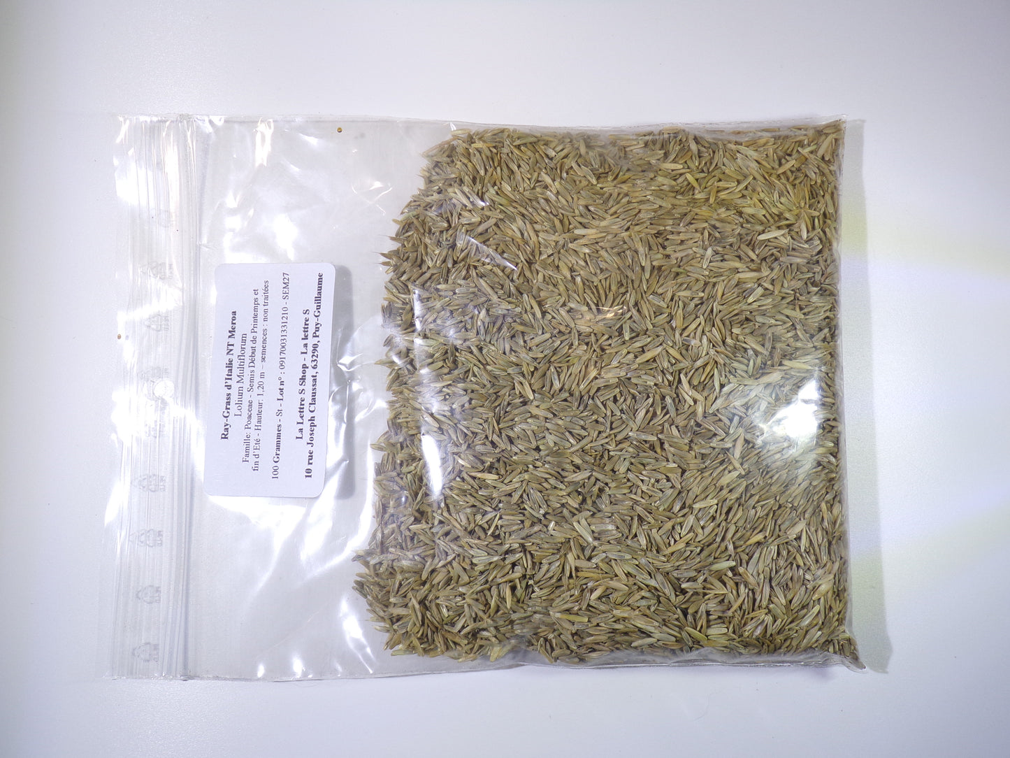 Ray-Grass d’Italie NT - Lolium Multiflorum (Engrais Vert) - SEM27