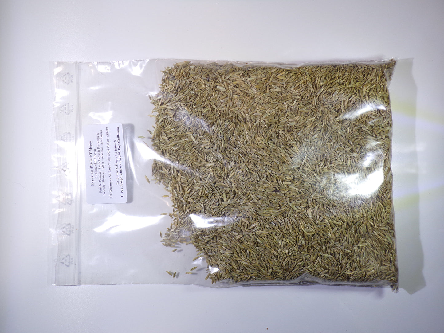 Ray-Grass d’Italie NT - Lolium Multiflorum (Engrais Vert) - SEM27